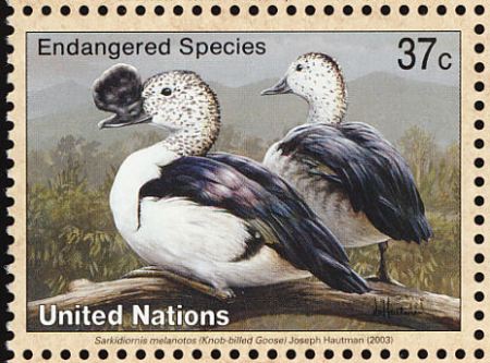 A pair of Nakta on a United Nations postage stamp