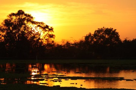 A yellow sunset over a pond with silhouettes of trees along the horizon.